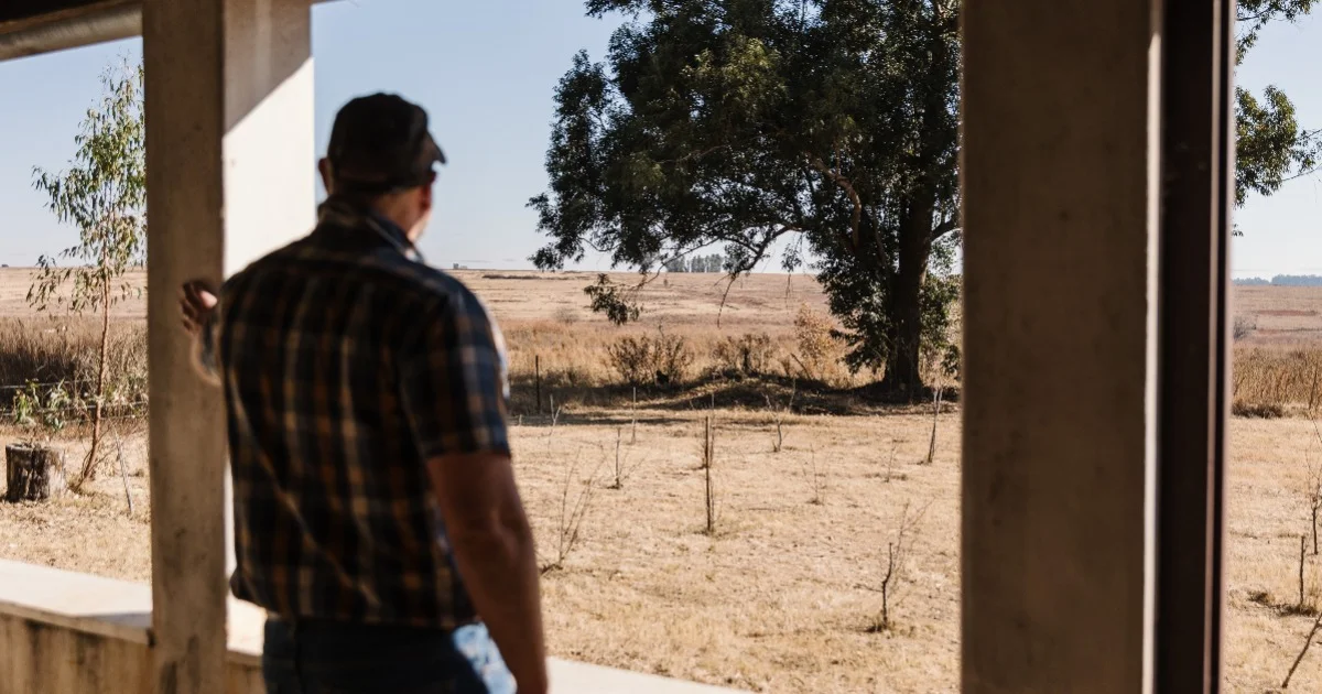 similar article avatar