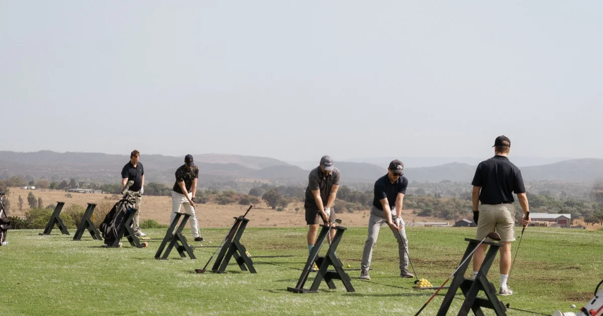 similar article avatar