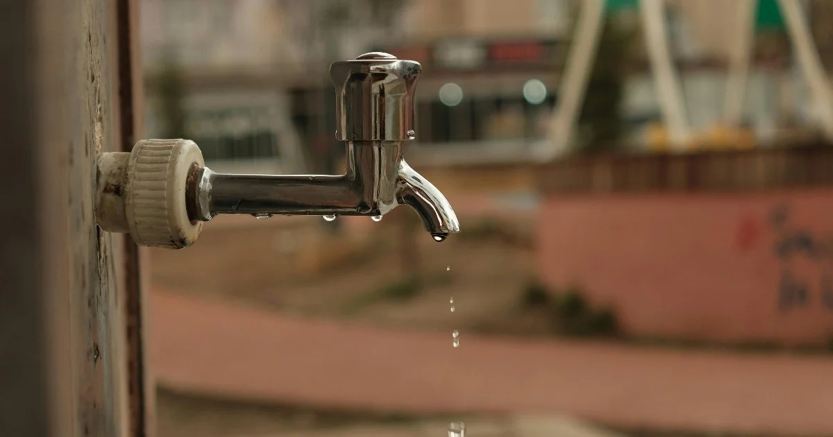 similar article avatar