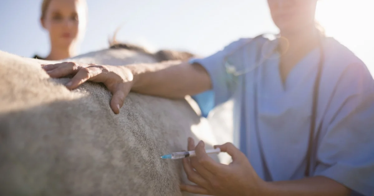 similar article avatar